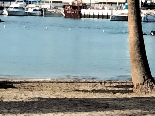 Playa de la Pinta-圣克鲁斯-德特内里费必去景点