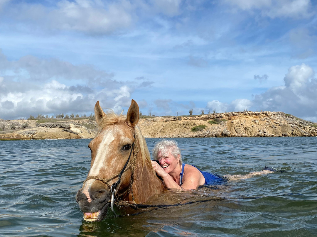 Horse Ranch Bonaire-Kralendijk必去景点