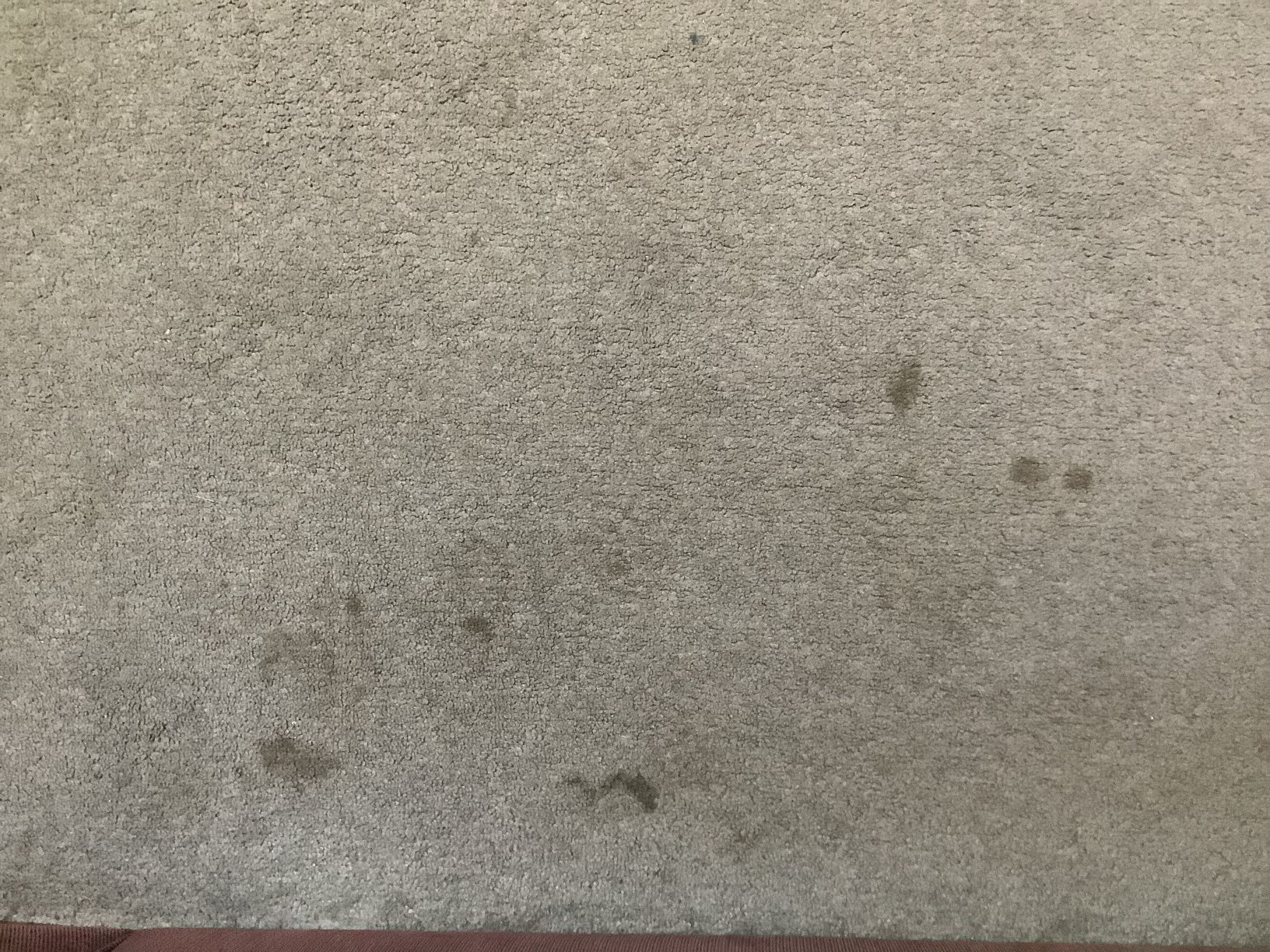 MAS Country Narrandera Club Motor Inn-官方