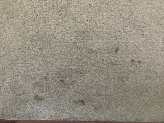 Lockhart酒店住宿-MAS Country Narrandera Club Motor Inn