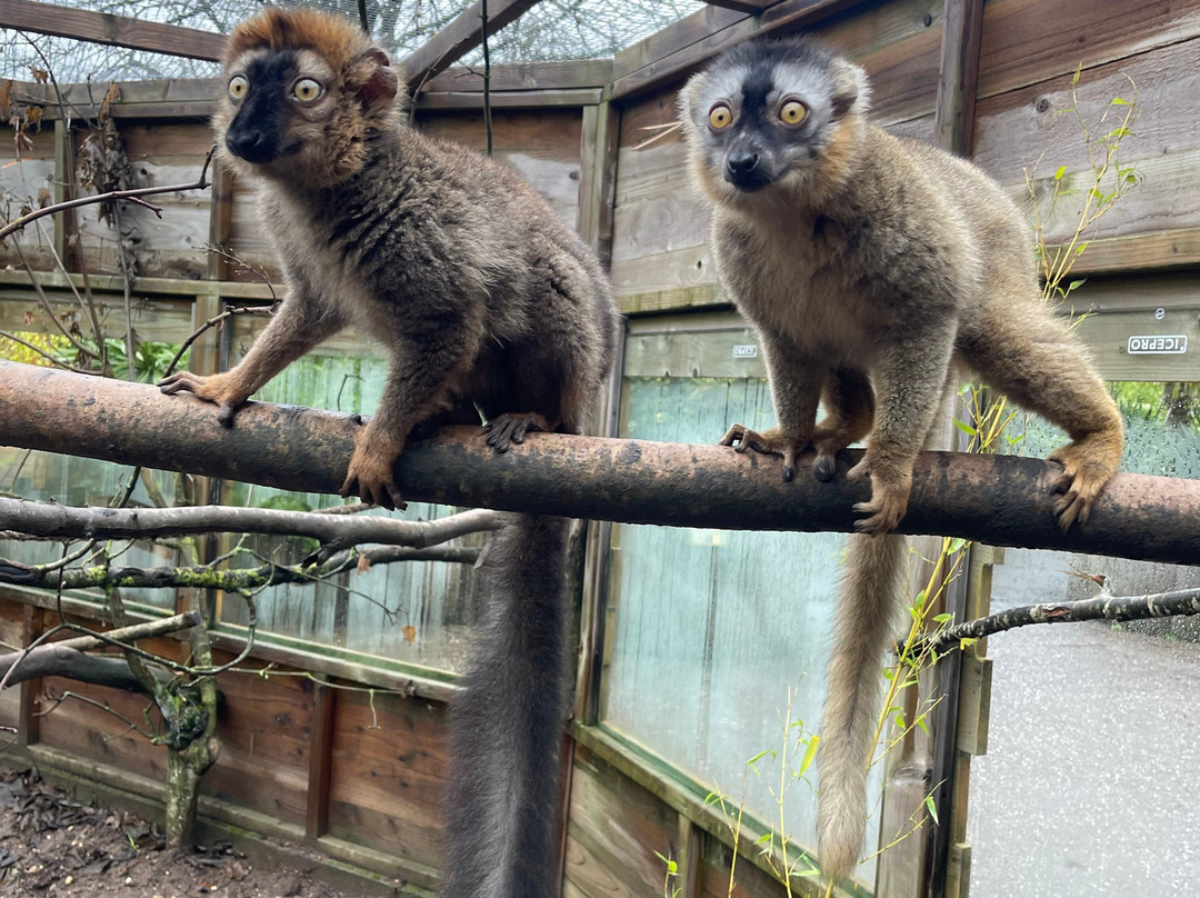 Exotic Zoo Wildlife Park + Natural History & Dino Museum-特尔福德必去景点