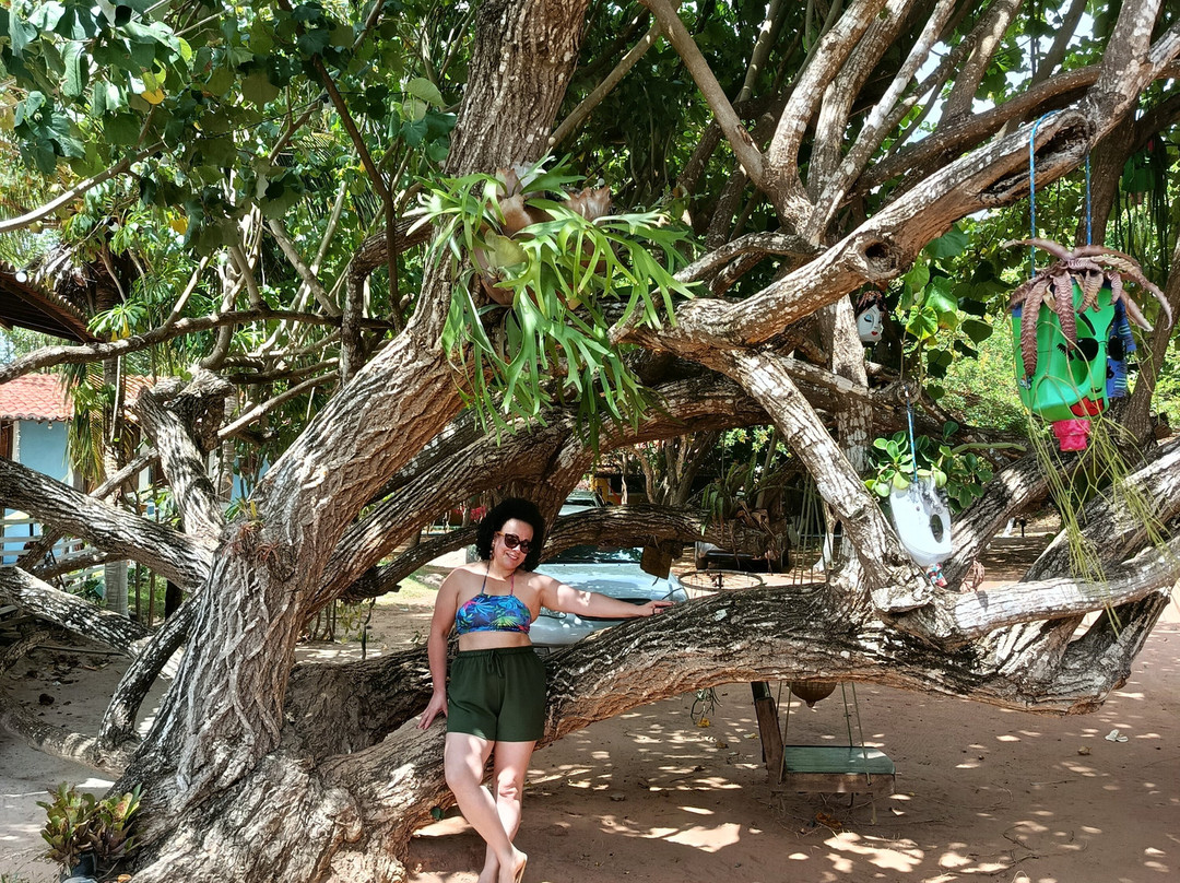 Tourinhos Beach-Sao Miguel do Gostoso必去景点
