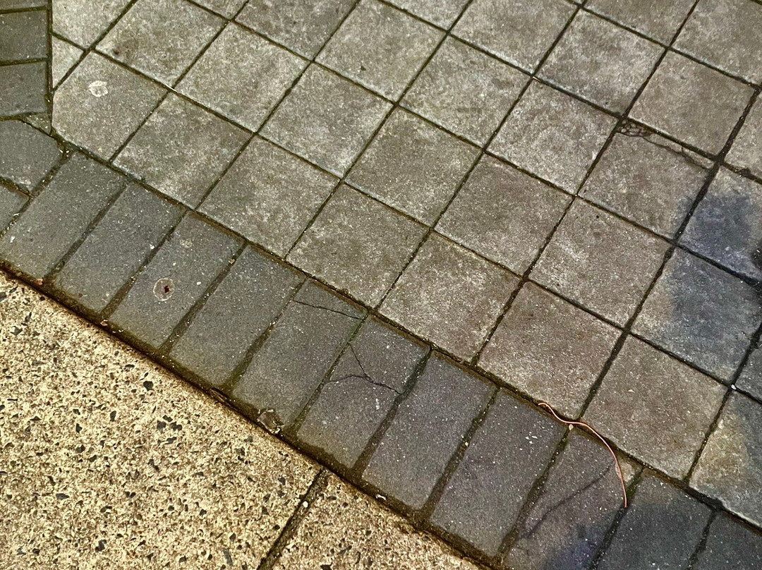 Eden Center-福尔斯彻奇必去景点