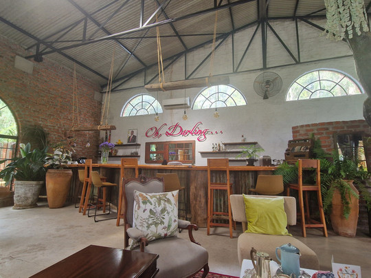 Wild Is Life-哈拉雷必去景点