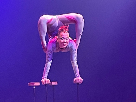 Cirque du Soleil - Alegria-Chatou必去景点