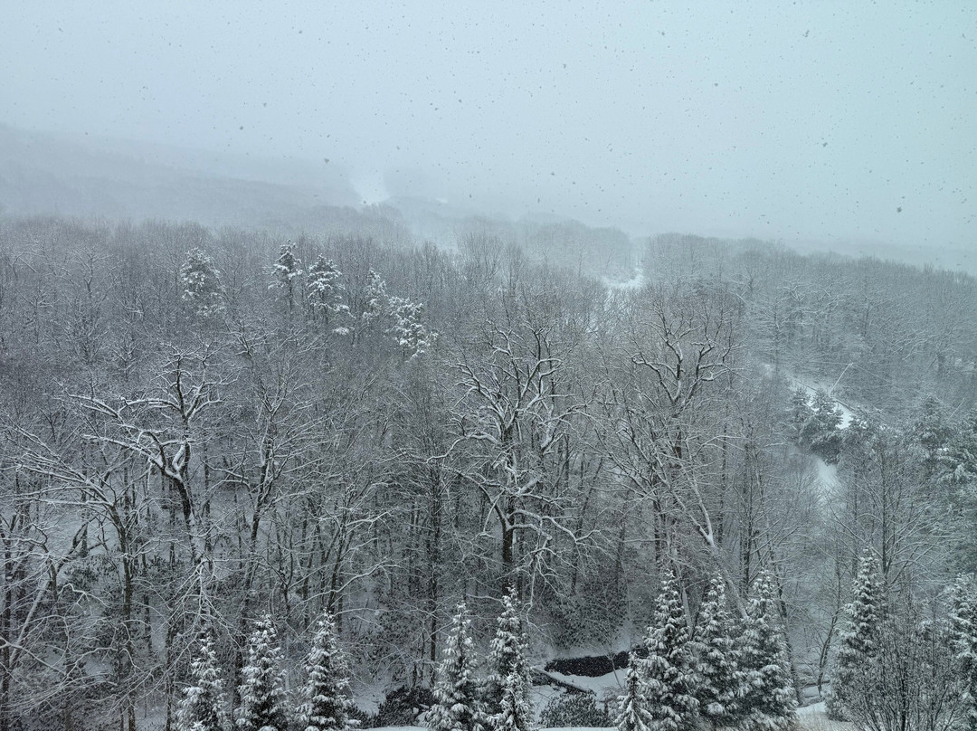 Camelback Mountain Ski Resort-坦纳斯维尔必去景点