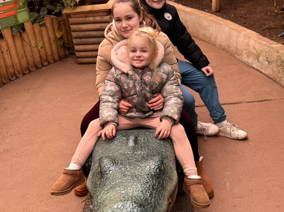 Call Of The Wild Zoo-South Woodham Ferrers必去景点