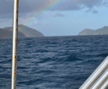 Palm Tree Charters-克鲁兹湾必去景点