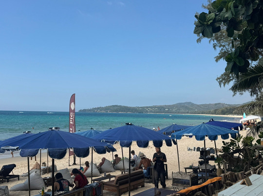 Beach Pig Phuket