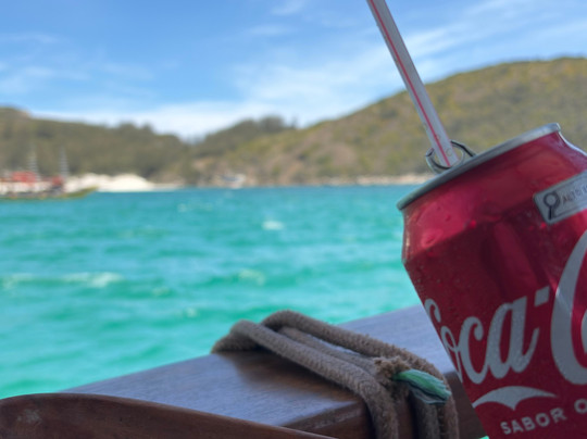 Tortuga Tur-阿拉伊阿尔港必去景点