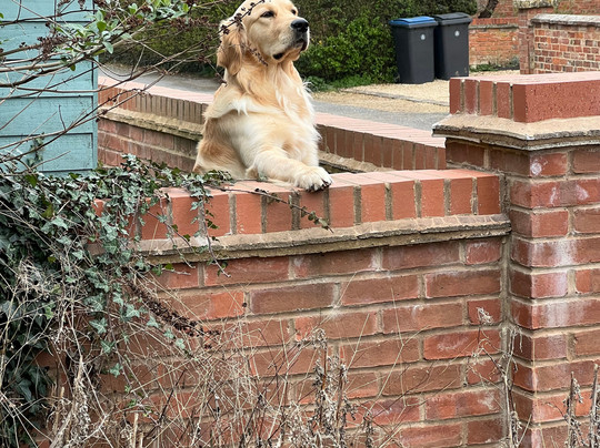 Scoff's Wall-Shipston on Stour必去景点