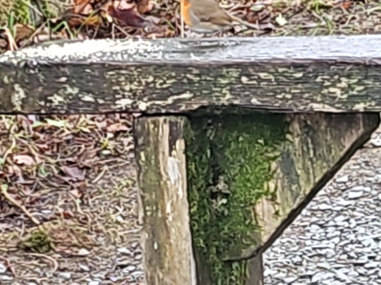 Bridge House Hotel主图