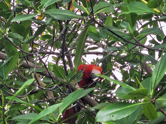 Mejitravel CR-瓜匹来斯必去景点