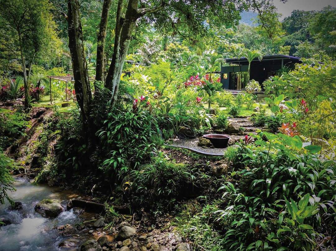 White Noise Butterfly Sanctuary & River Retreat