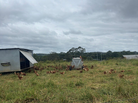 The Farm-拜伦湾必去景点