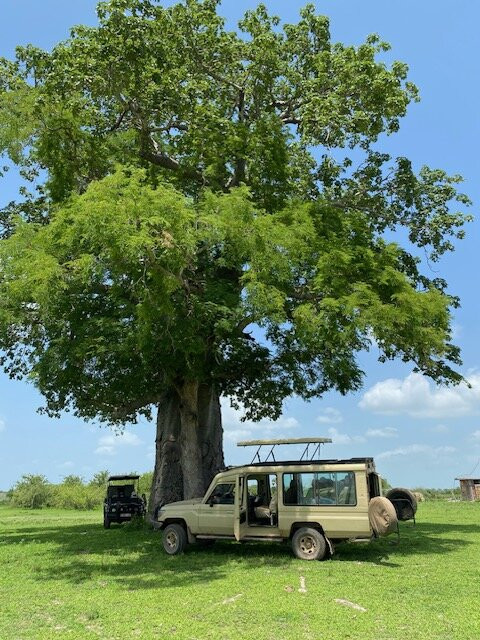 Otto Safari Guide Tanzania-Kibaha必去景点