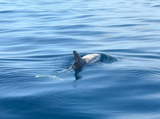 Keeper Uno-Playa de Mogan必去景点