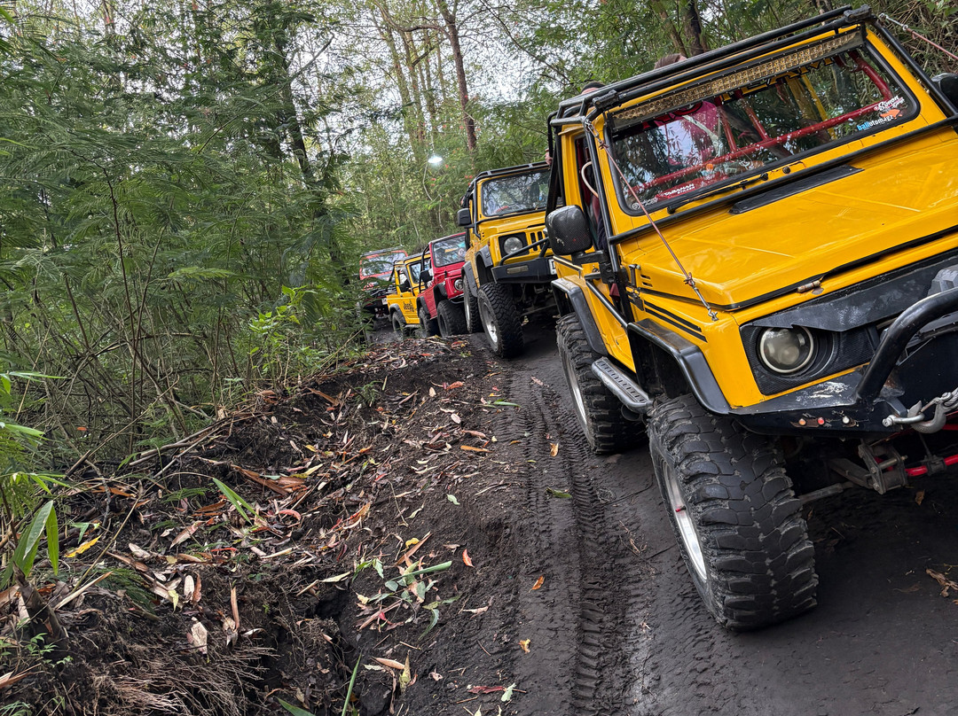 Mount Batur Sunrise Jeep-金塔马尼必去景点