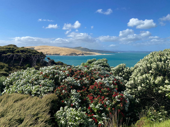 Waimamaku Coastal Track-Opononi必去景点