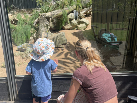 Wildlife HQ Zoo-Woombye必去景点