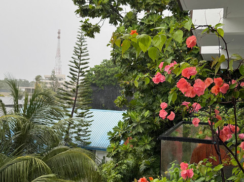 Island Vista Thoddoo