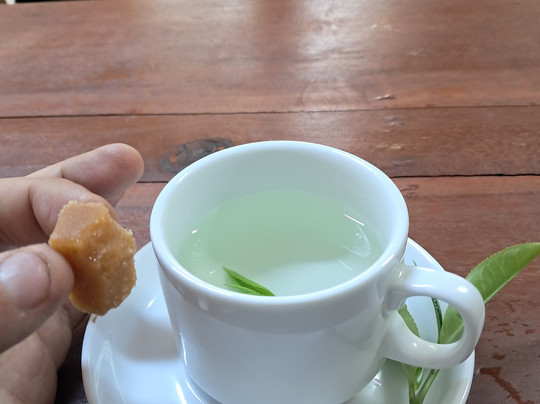 Ella Organic Tea Garden-Heeloya必去景点