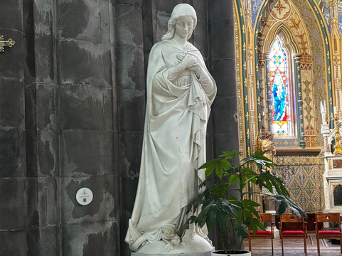 St. Mary's Catholic Cathedral-基尔肯尼必去景点