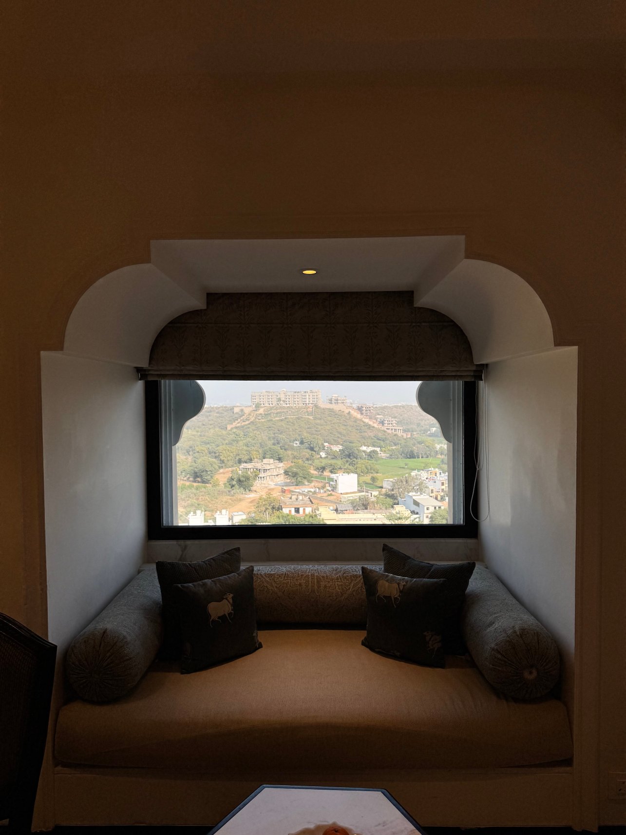 奥里卡乌代布尔- 华丽柠檬树酒店-酒店景观
