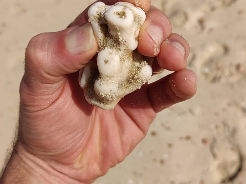 Daymaniyat Experts-马斯喀特必去景点