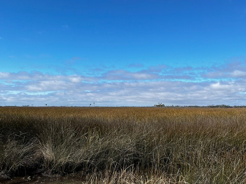 Lower Suwannee National Wildlife Refuge-锡达礁必去景点
