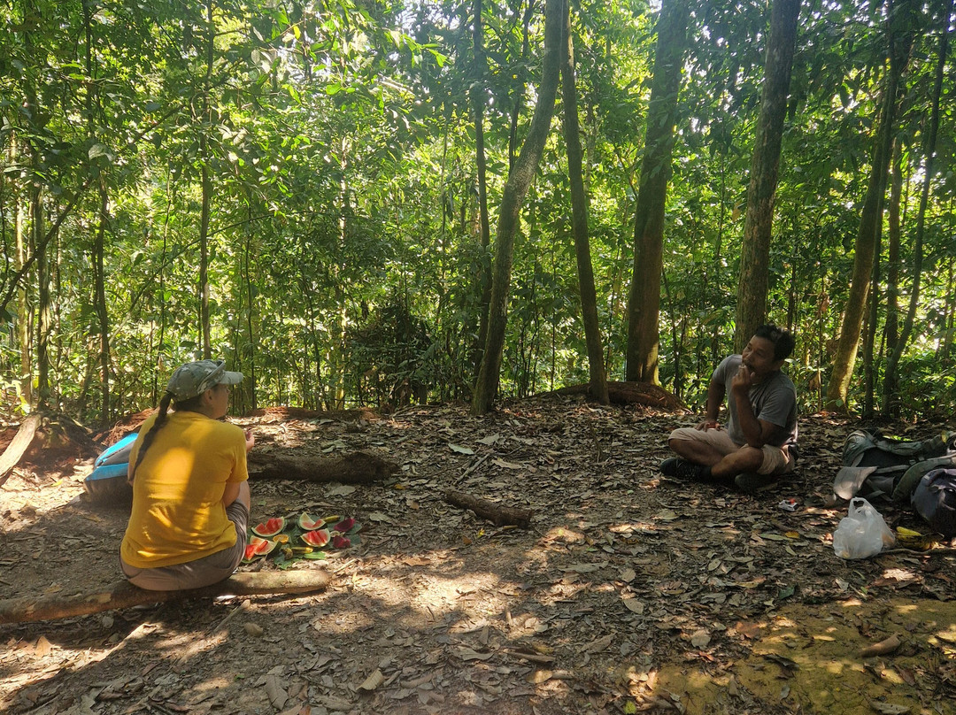 Sumatra EcoVentures-武吉拉旺必去景点