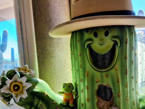 Red Hills Visitor Center-图森必去景点