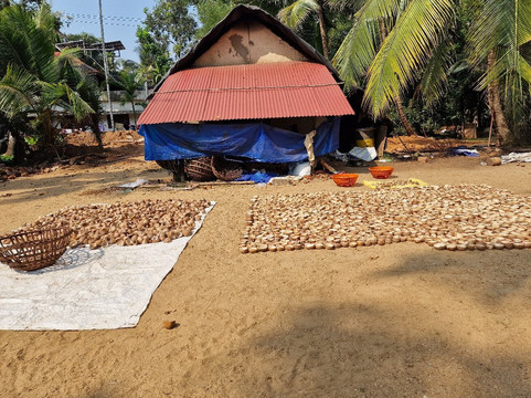 Back 2 Village-Vadakkemuri必去景点