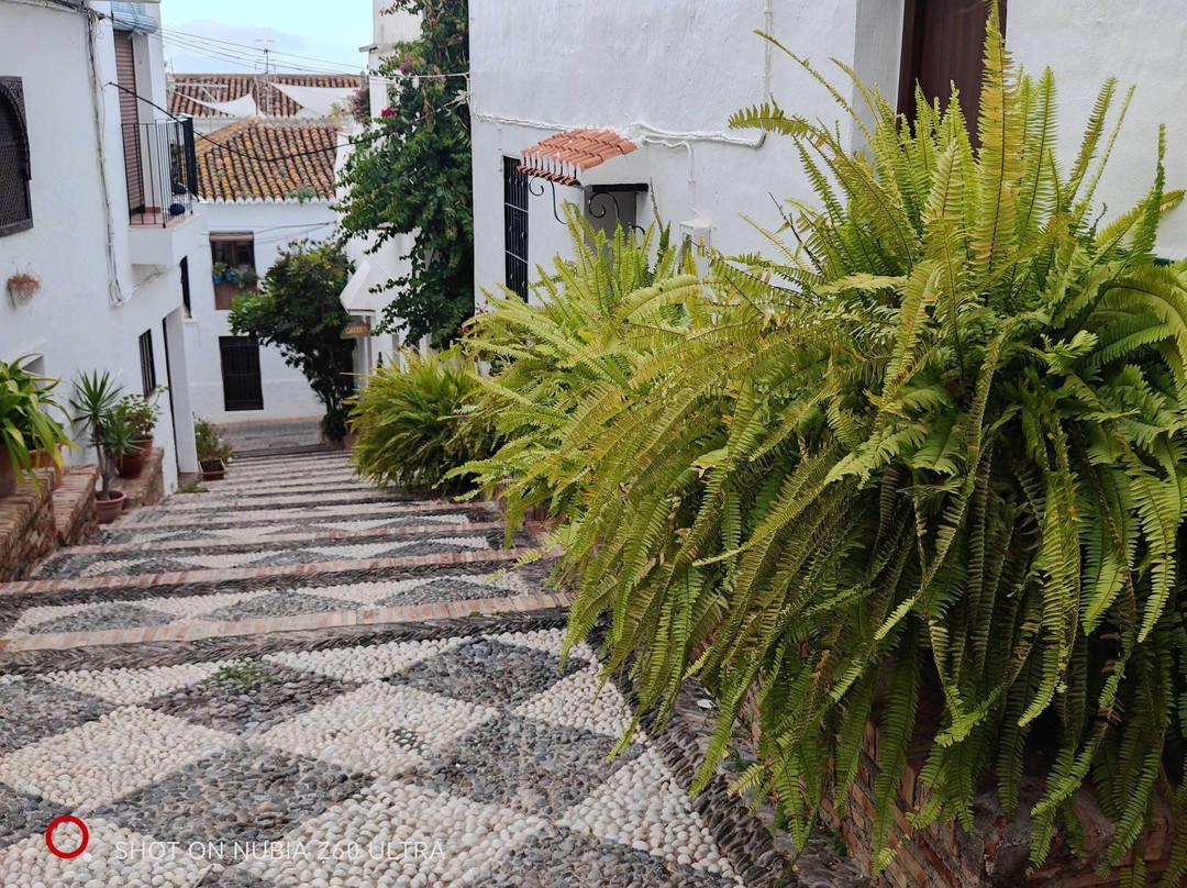 Casco Antiguo-萨洛夫雷尼亚必去景点