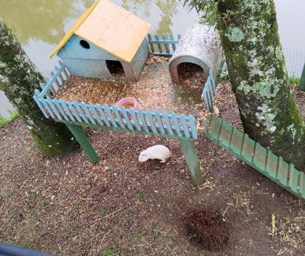 Rancho Alegre-Joinville必去景点