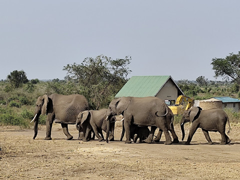 Dk Rent A Car Uganda-坎帕拉必去景点