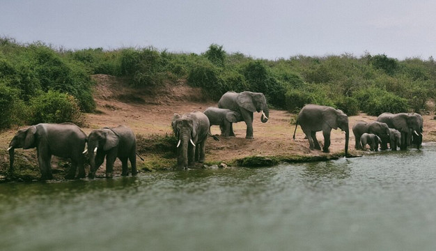 Dk Rent A Car Uganda-坎帕拉必去景点