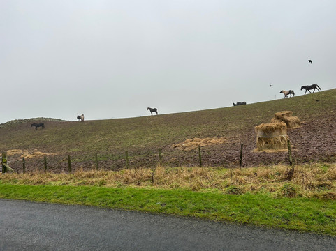 Eat Sleep Ride-Eyemouth必去景点