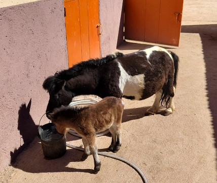 Jarjeer Mules-Oumnass必去景点