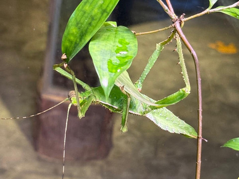 蟲鳴大地-巴巷海滩必去景点