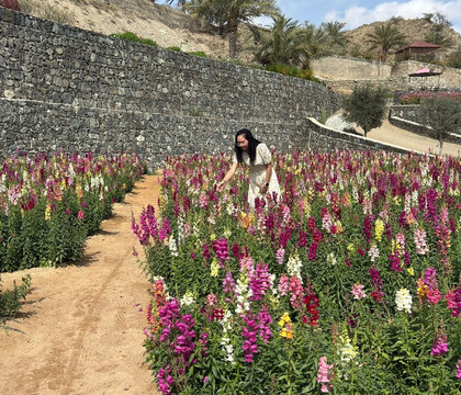 UAE Flower Farm-富查伊拉必去景点