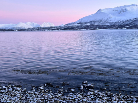 Kvaløya Husky-特罗姆瑟必去景点