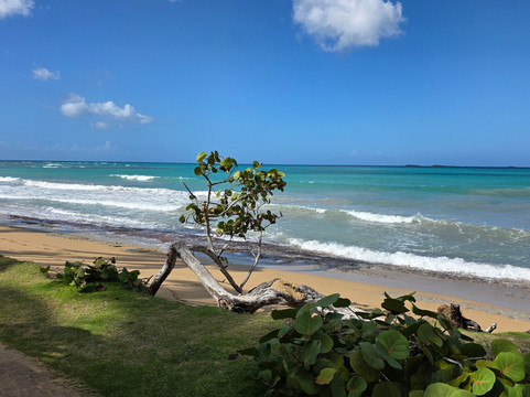 亚特兰提斯酒店主图