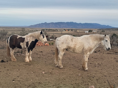 Double R Ranch-Elgin必去景点