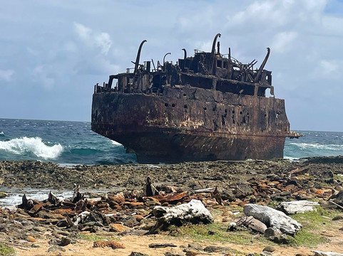 BlueFinn Charters-威廉斯塔德必去景点