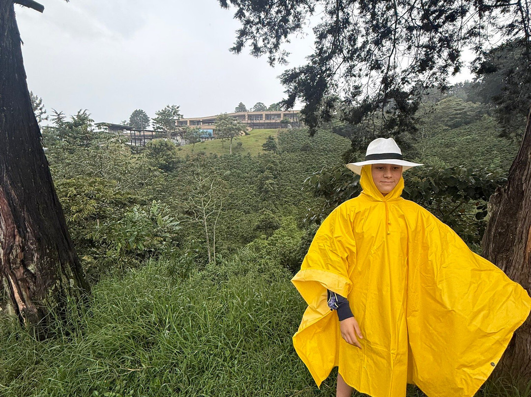 Medellin Coffee Farm Tour-麦德林必去景点