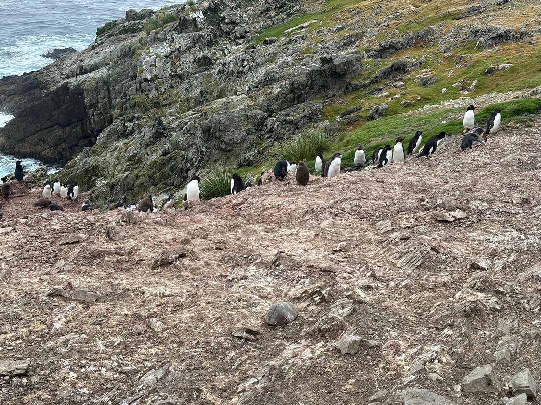 Falkland Islands Tourist Board