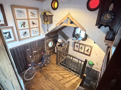 Museo Pablo Fierro-巴拉斯港必去景点