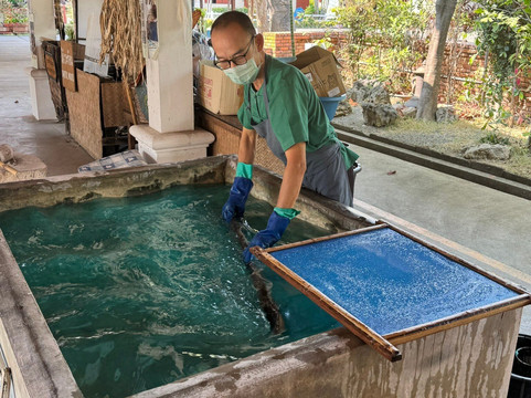 Umbrella Village - Bor Sang-宝山必去景点