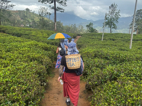 Feel Free Travel-曼谷必去景点